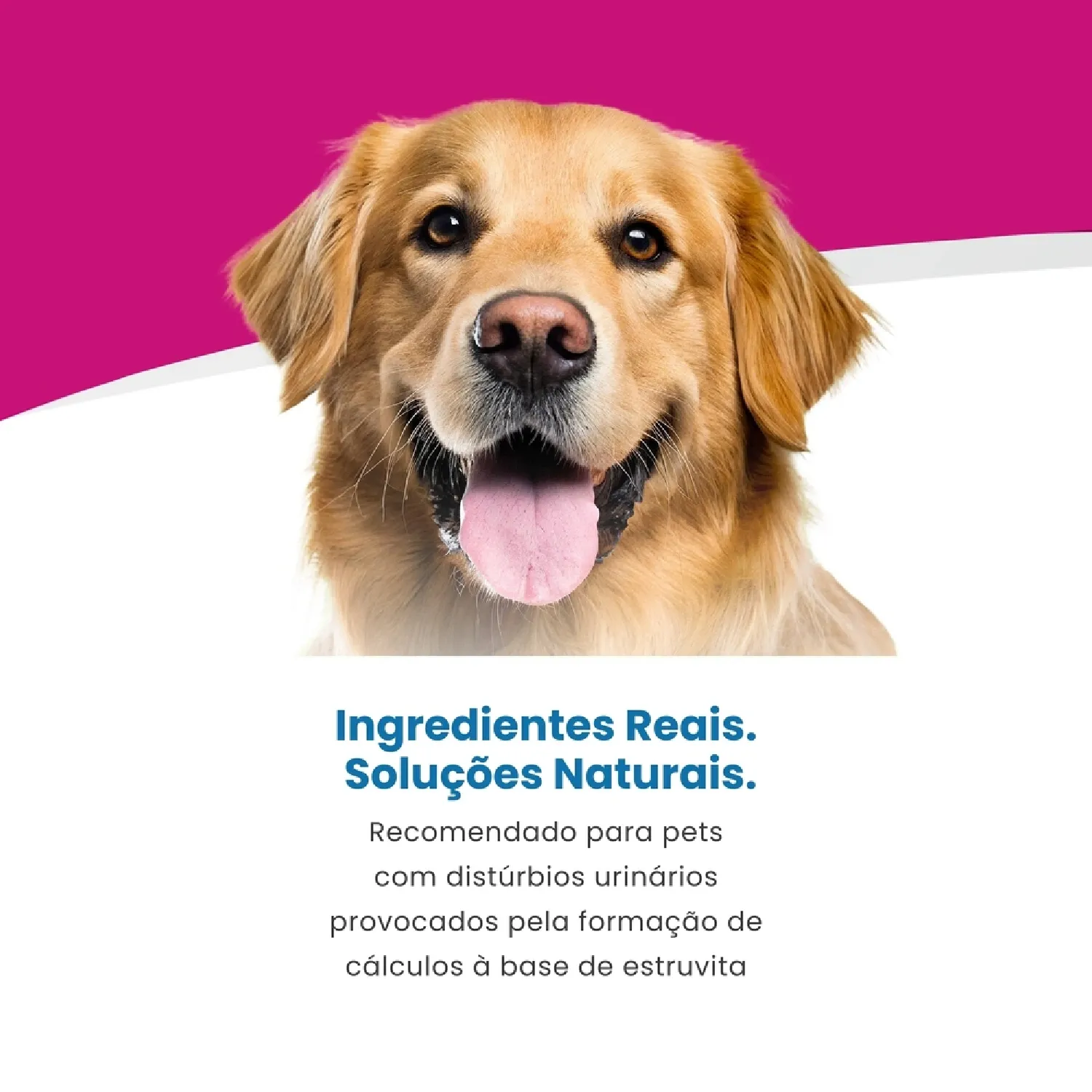 Racao Umida Vet Life Caes Calculos Urinarios 4